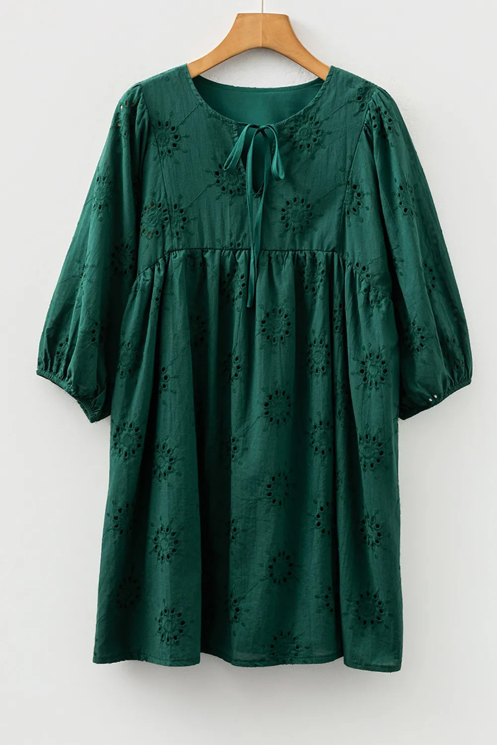 Blackish Green Embroidered Eyelet Pattern Puffy Sleeve Swing Mini Dress